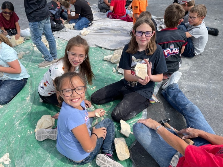 4th Grade Fossil Activity