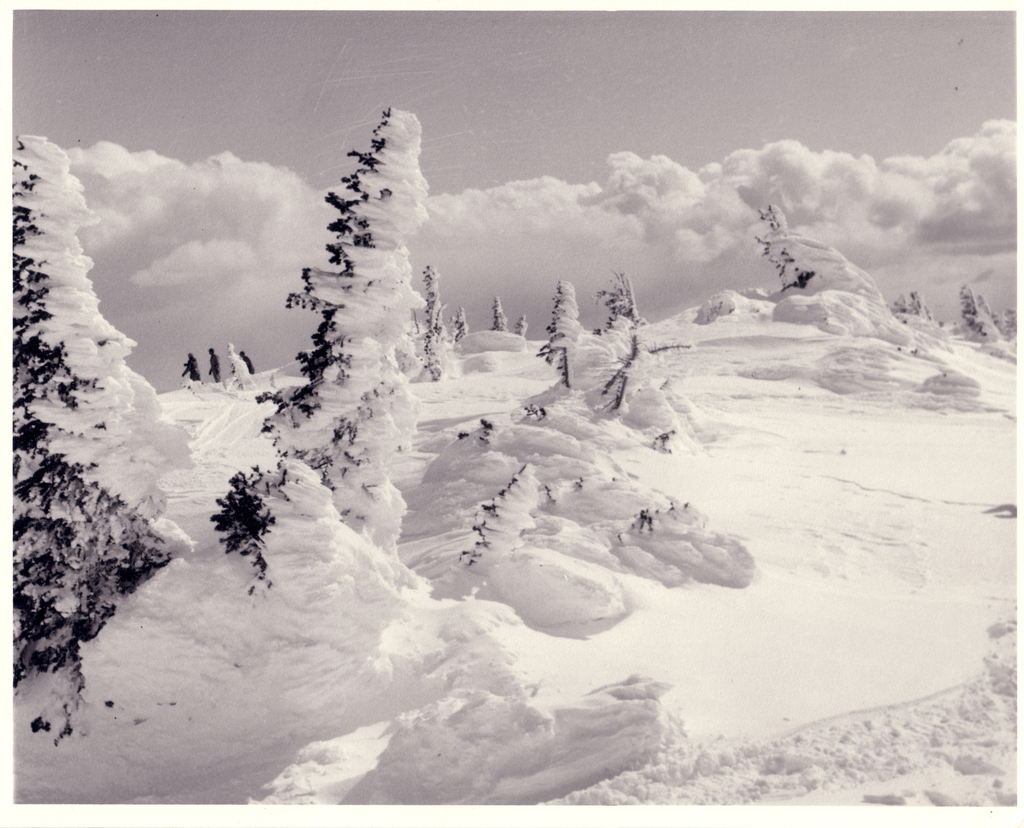 Snow in the mountains