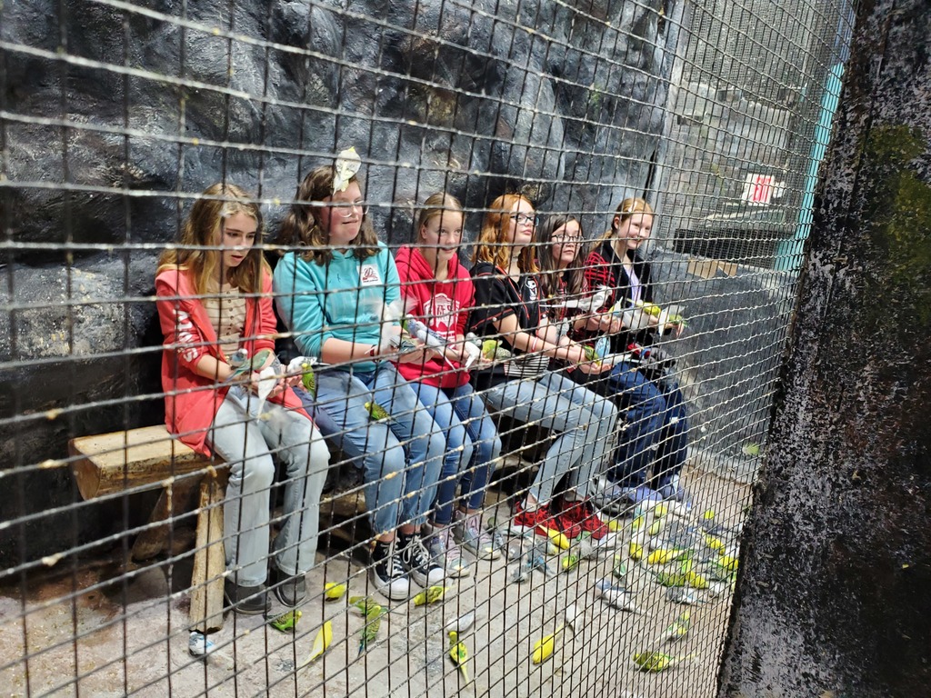 The birds were awesome 